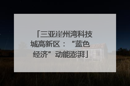 三亚崖州湾科技城高新区：“蓝色经济”动能澎湃